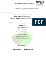 Cultivo de Hortalizas y Elaboración de Un Bioinsecticida