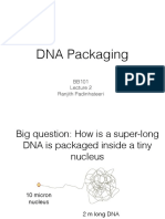 DNA Packaging: BB101 Ranjith Padinhateeri