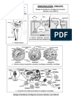 Inmunología Dibujos