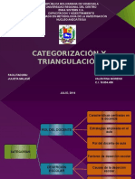 Categorización y Triangulación Valentina Moreno Definitivo-1