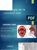 Fisiología de La Masticación y Deglución