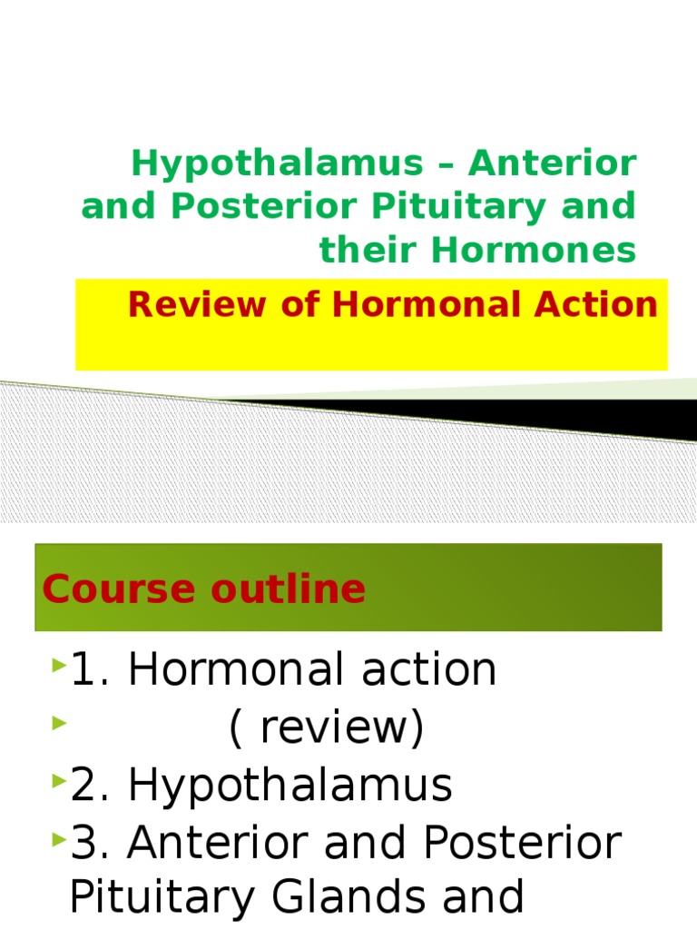Hypothalamus - Anterior Pituitary and Their Hormones | PDF ...