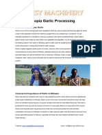 Ethiopia Garlic Processing