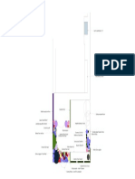 Kate and James Harvey Rear Garden Plant Plan