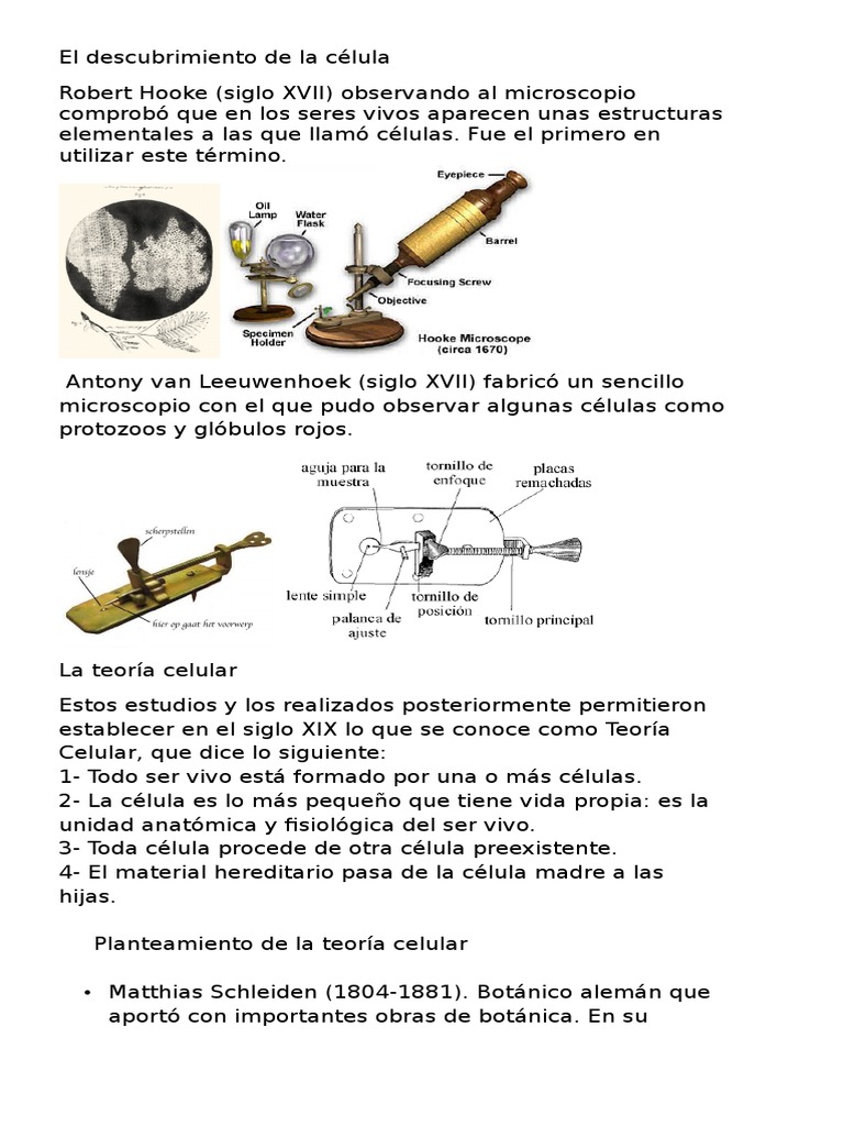 El descubrimiento de la célula.docx