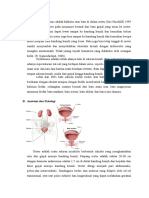 LP Urolithiasis (Kencing Batu)