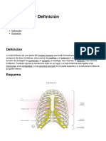 Caja Toracica Definicion 14579 Nalq4a