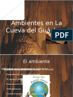 Ambientes en La Cueva Del Guácharo