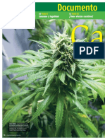 Cannabis, Mitos y Hechos - Muy Interesante MX - Nº1