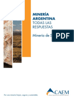 Minería-Argentina-Todas-las-Respuestas-Minería-de-Superficie.pdf