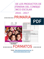 Formatos Prod FIntesiva Prim CTEEP