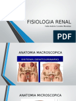 Fisiologia Renal revision 
