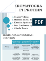 Kromatografi Protein