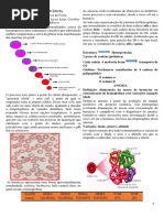 Anemias Na Infância