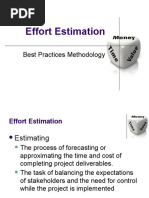 Effort Estimations