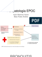 Fisiopatología EPOC