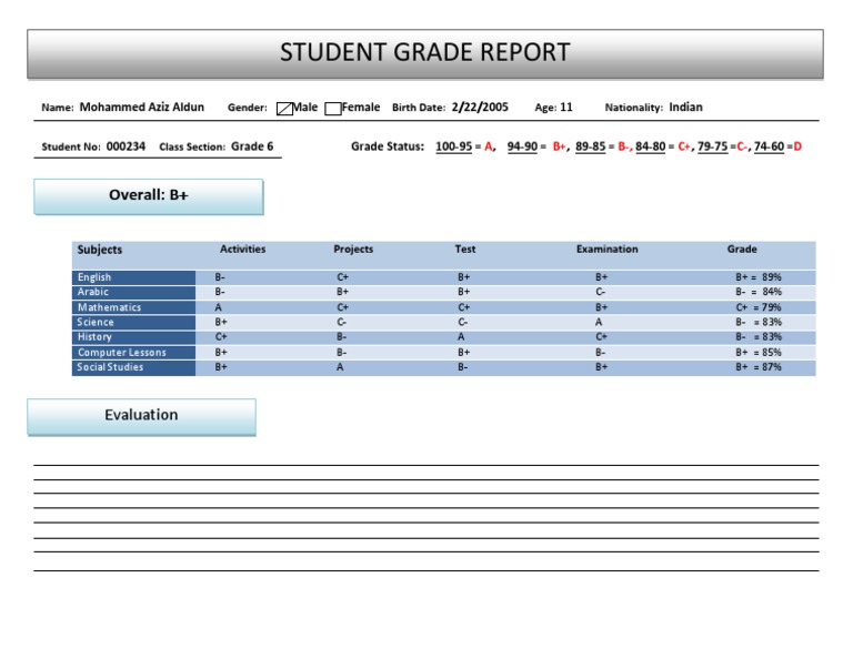 Student Grade Report for Mohammed Aziz | PDF | Business | Computers