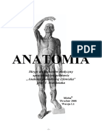 anatomia- skrypt.pdf
