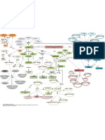 Mapa Conceptual