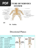 Benton Visual Retention Test | PDF | Neuroscience | Neuropsychological ...