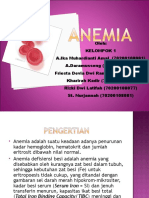 PP Anemia Defisiensi Besi Pada Ibu Hamil