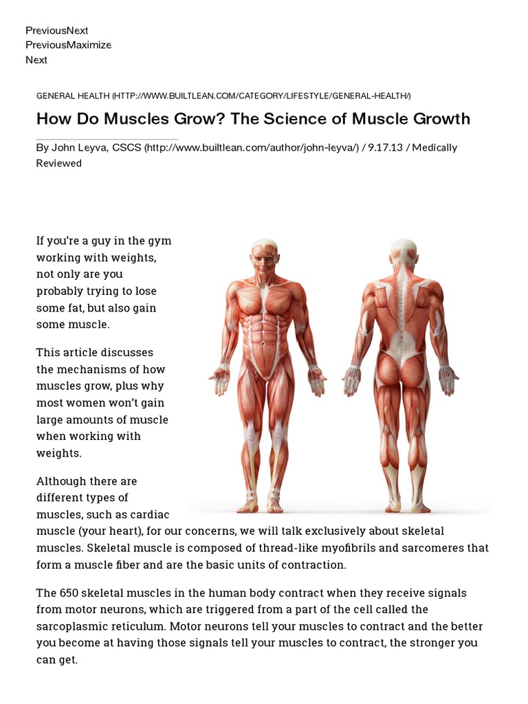Mechanisms of Muscle Growth Explained | PDF | Muscle Hypertrophy | Muscle