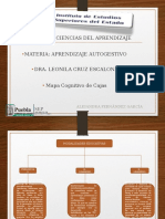 Mapa Cognitivo de Cajaslec3