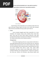 Download Penyakit Pada Sistem Ekskresi Dan Cara Mengatasinya by Muhammad Hidayatul Rifqi SN321506981 doc pdf