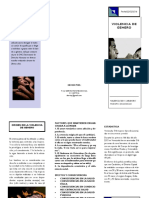 TRIPTICO V.pdf