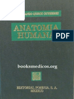 Anatomia Humana 2 Quiroz