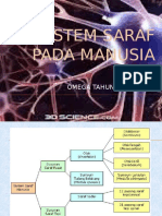 Anatomi Dan Fisiologi Pertemuan 2