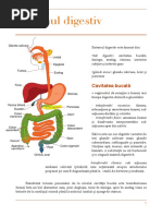 Sistemul Digestiv - Schema Biologie Vegetala Si Animala Bac