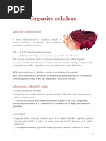 Organite Celulare - Schema Biologie Vegetala Si Animala