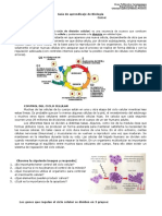 Control Del Ciclo Celular