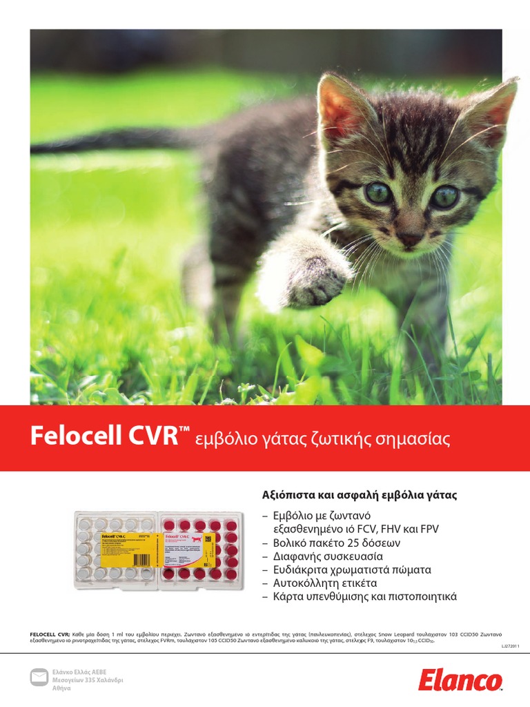 felocell cvr vaccine cats