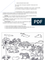 Fauna e flora dos biomas brasileiros