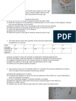 Chapter 2 Summative Exercise