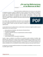 07. Por Que Hay Malformaciones en Las Mazorcas de Maiz