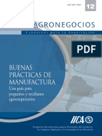 BPM-iica.pdf