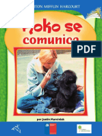 Koko Se Comunica