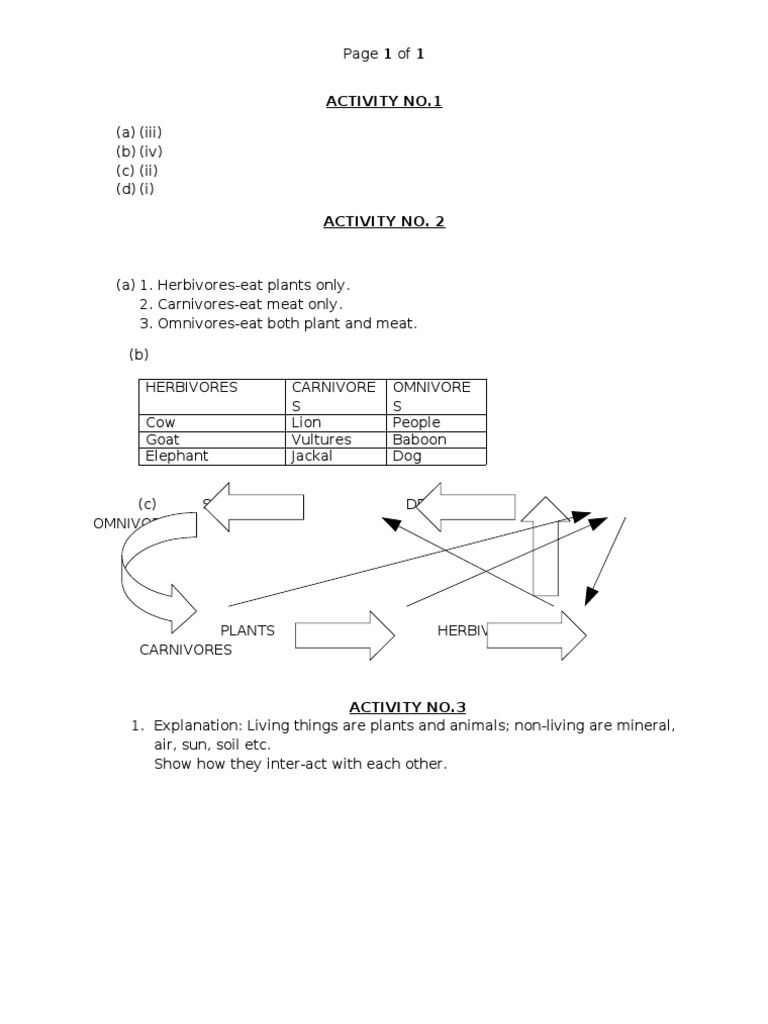 Activity No | PDF | Science & Mathematics