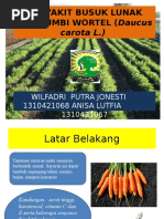 Download Penyakit Busuk Lunak Pada Umbi Wortel  by Wilfadri Putra Jonesti SN321660087 doc pdf