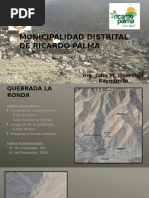 MUNICIPALIDAD DISTRITAL DE RICARDO PALMA.pptx