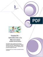 Guia Unidad 4 - Microeconomia