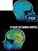 As Últimas 13 Descobertas Sobre o Seu Cérebro