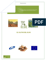 El cultivo del olivo.pdf