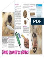 Como Escovar Os Dentes PDF