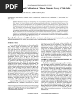 Cell Engineering and Cultivation of Chinese Hamster Ovary 