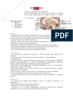 Resumen de sistema  Nervioso