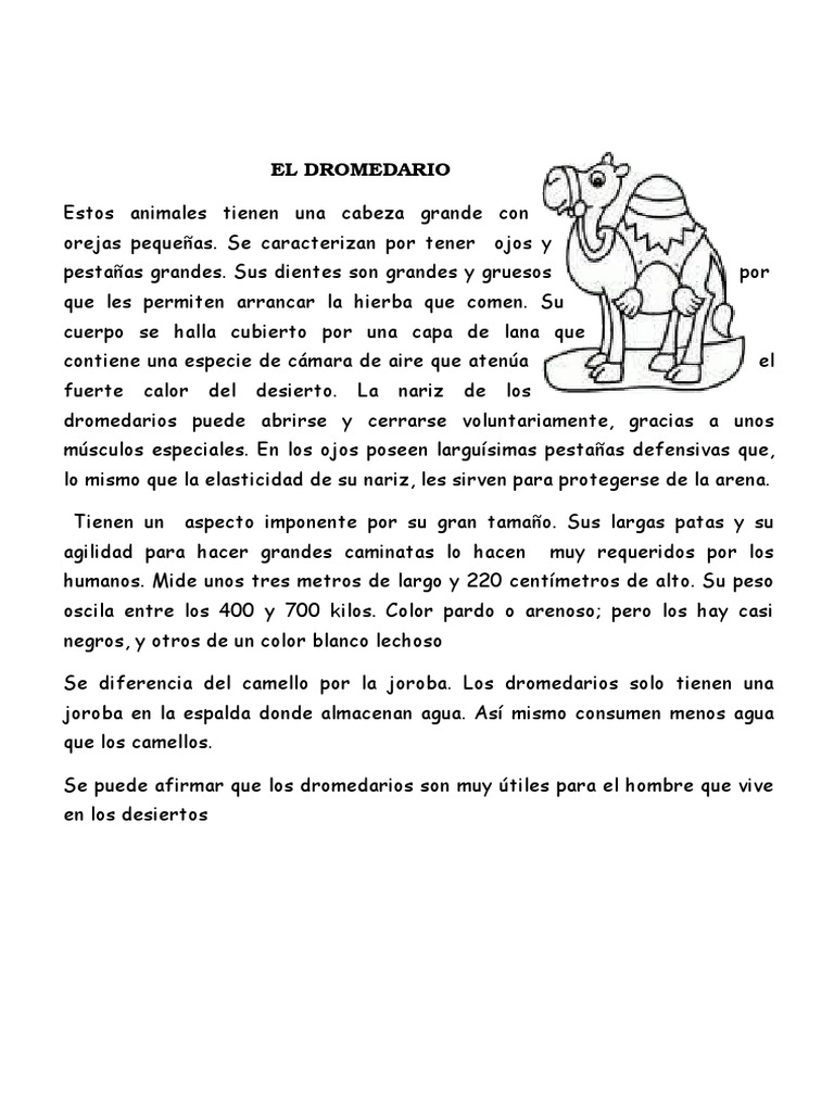Textyos Descriptivos de Animales